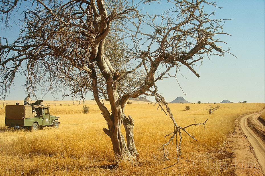 In the deserts of Sudan