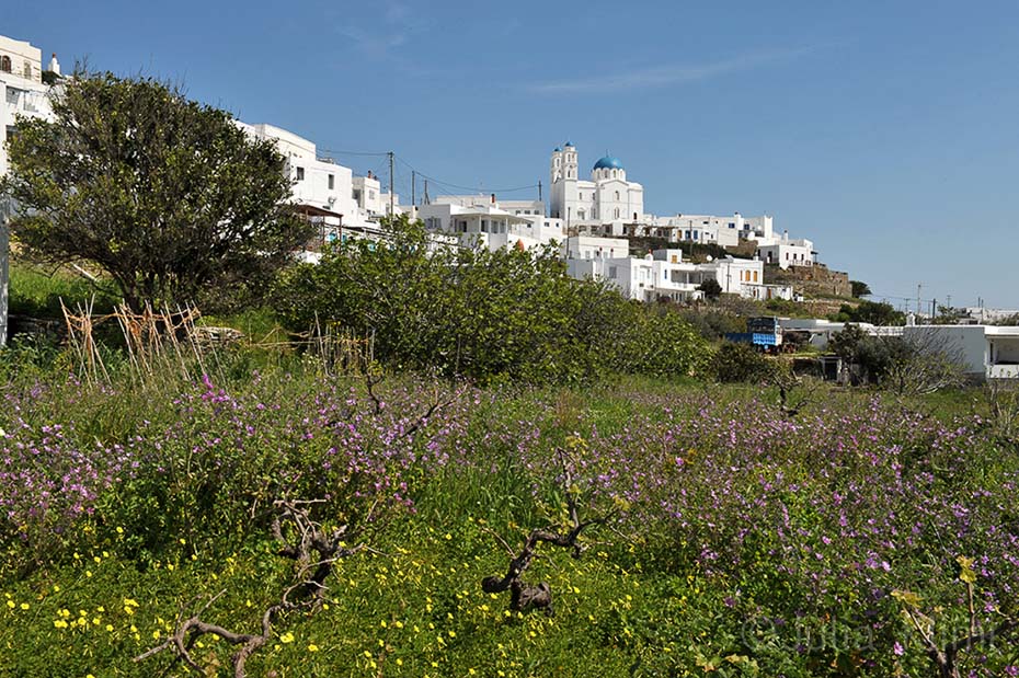 _45DSC_1619 Ai Yiannis Pano Petali, Sifnos island